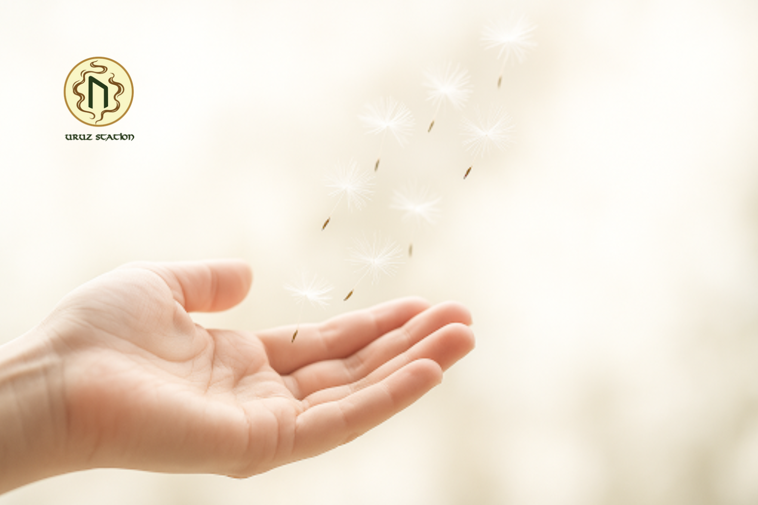 5 Cách Giúp Bạn Sống Nhẹ Nhàng Hơn