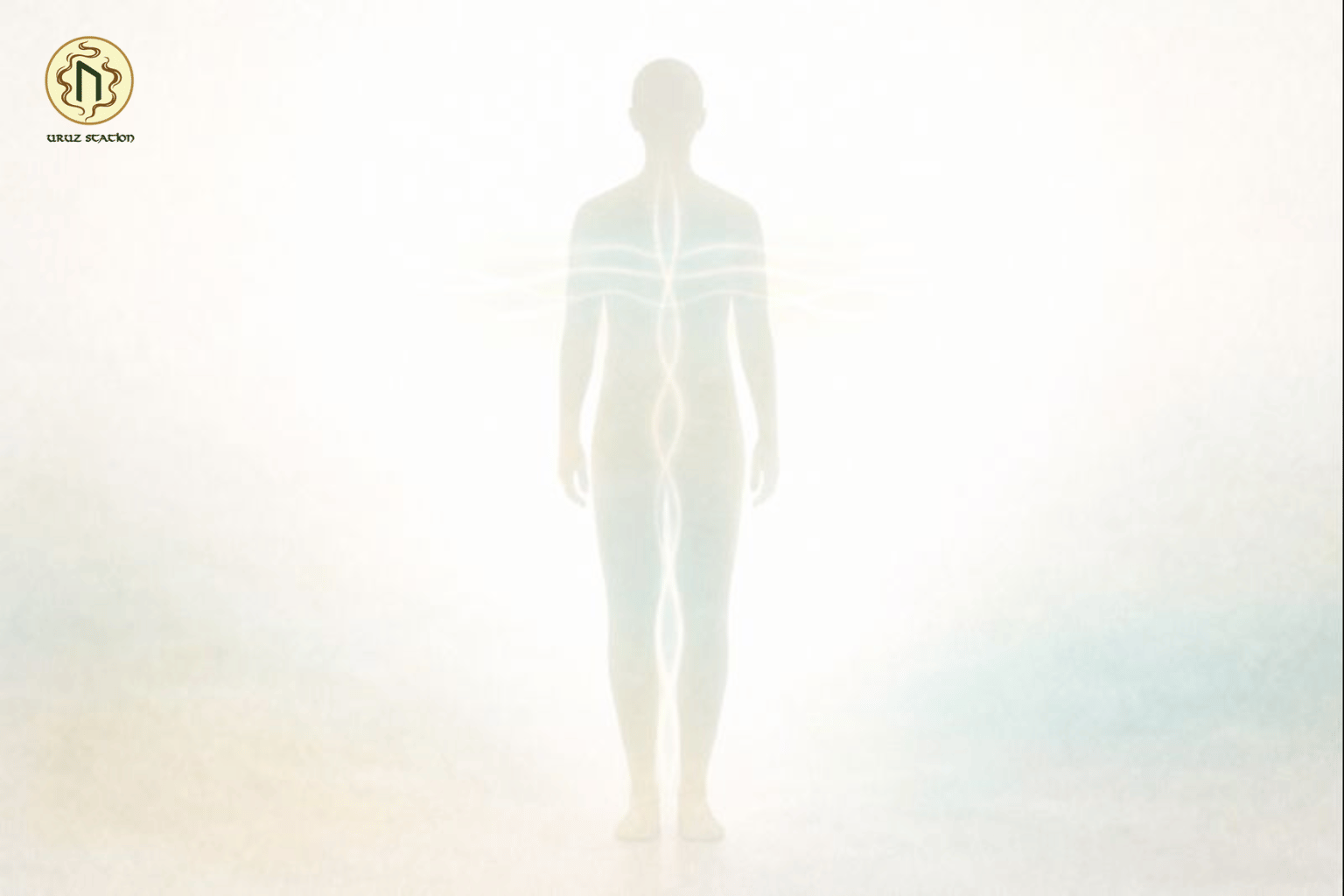 Năng lượng sống là gì?