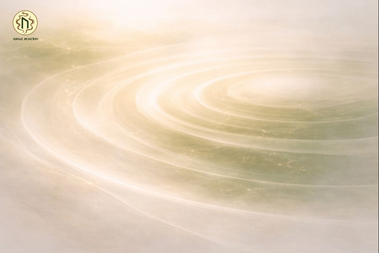 Nuôi dưỡng năng lượng từ gốc - Nền tảng cho một con người khoẻ mạnh