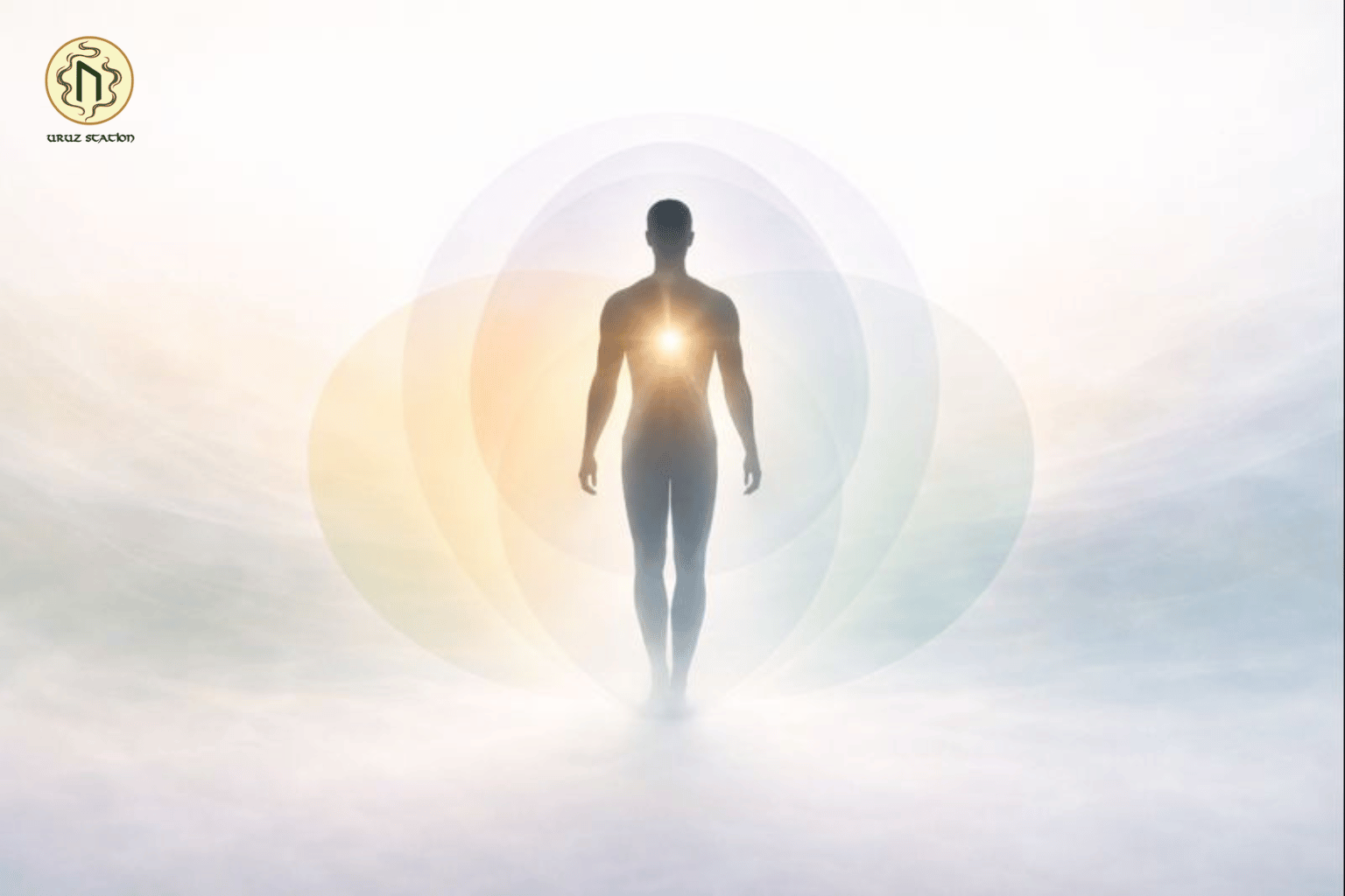 Hơi thở chữa lành cân bằng thân - tâm - trí