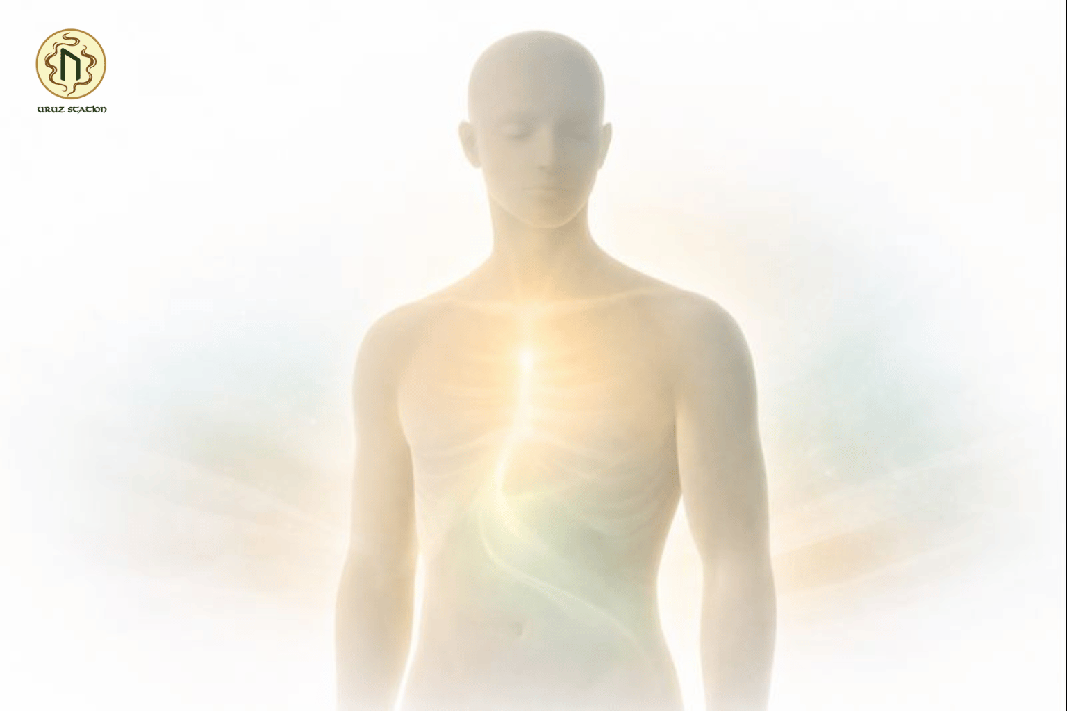 Nuôi dưỡng nền móng cốt lõi của toàn bộ hệ năng lượng cũng là nuôi dưỡng chính linh hồn bên trong bạn