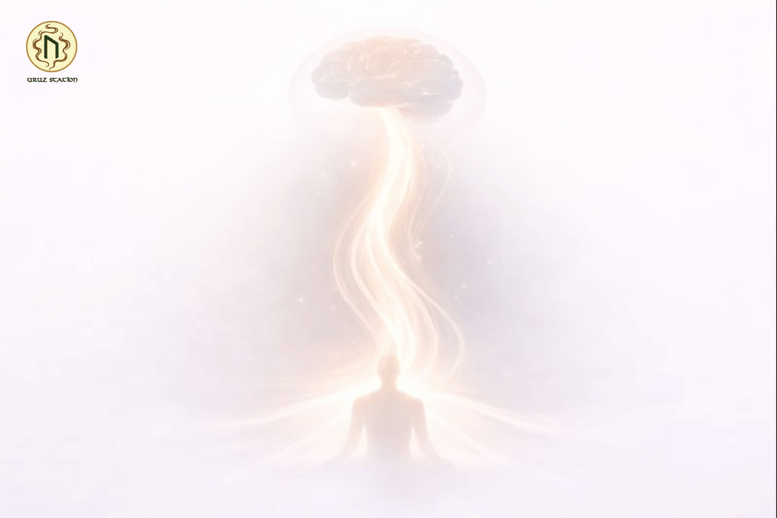 Khoảng 80% tín hiệu thần kinh đi từ cơ thể lên não