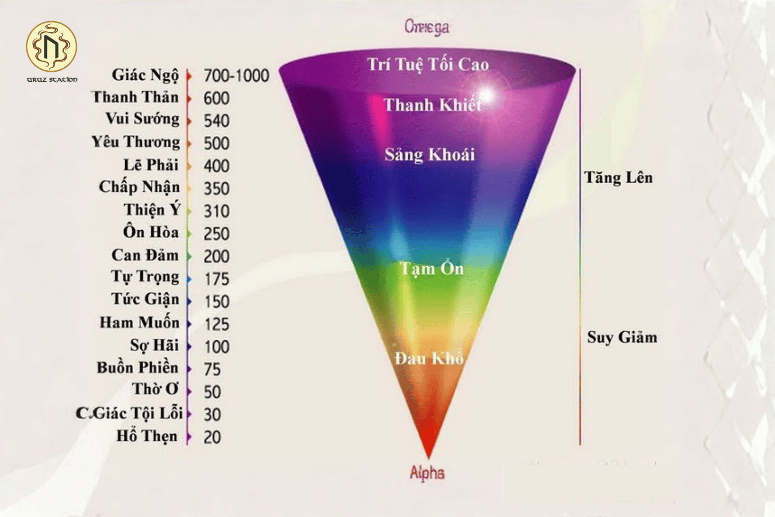Các tầng năng lượng cơ thể