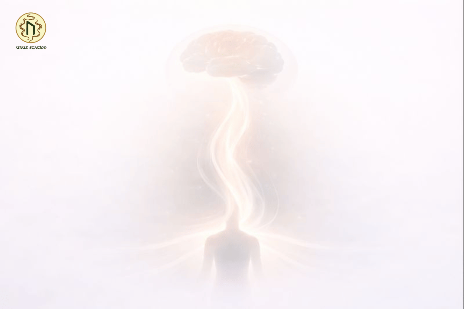 Tín hiệu được gửi từ cơ thể lên não chiếm 80%