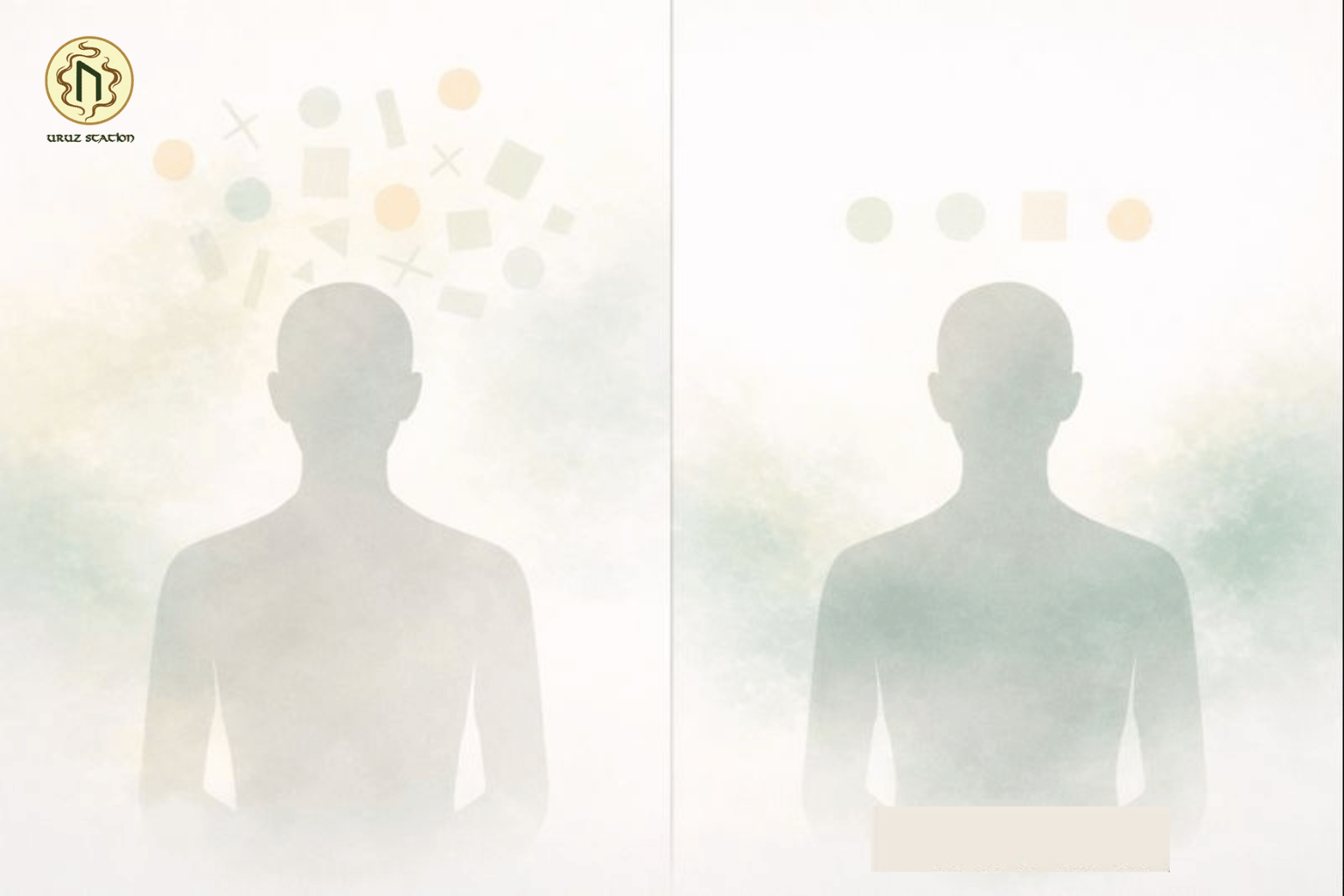 Tâm trí quá tải vs tâm trí ổn định