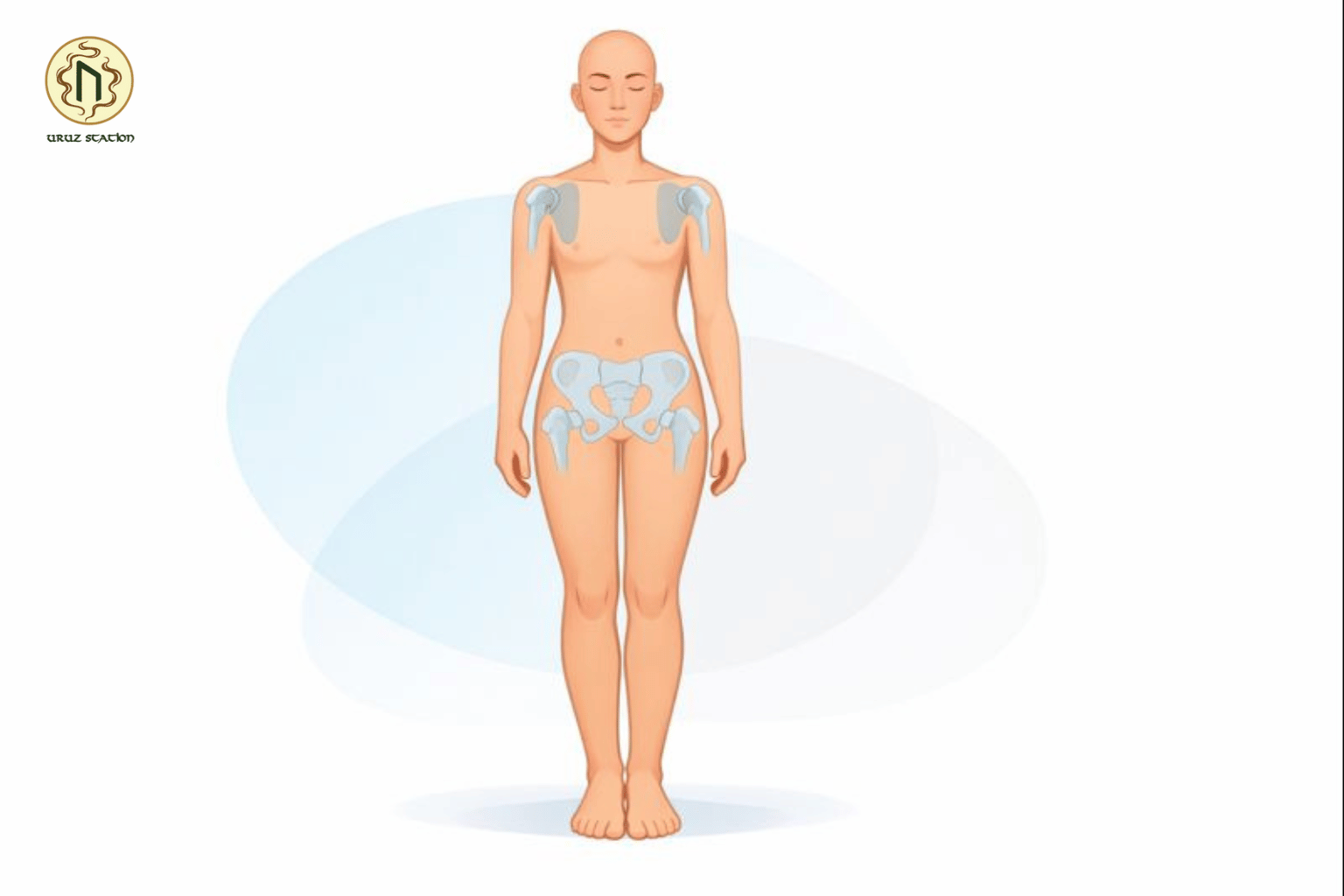 Cấu trúc xương và giới hạn cơ thể