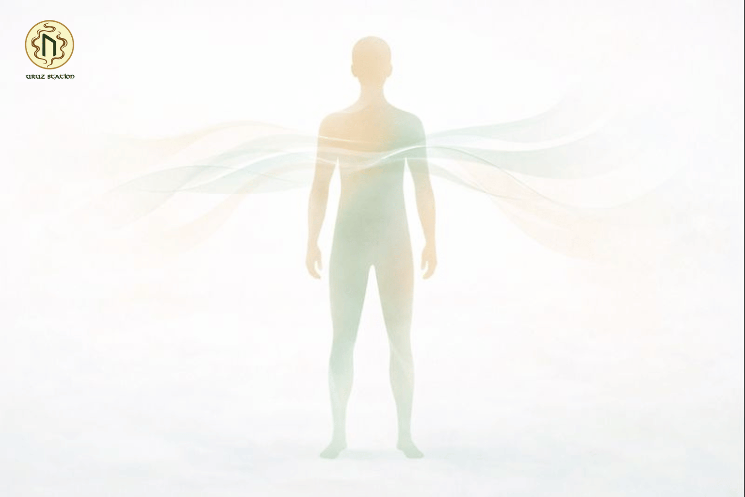 Lưu thông - thư giãn - điều hoà thần kinh