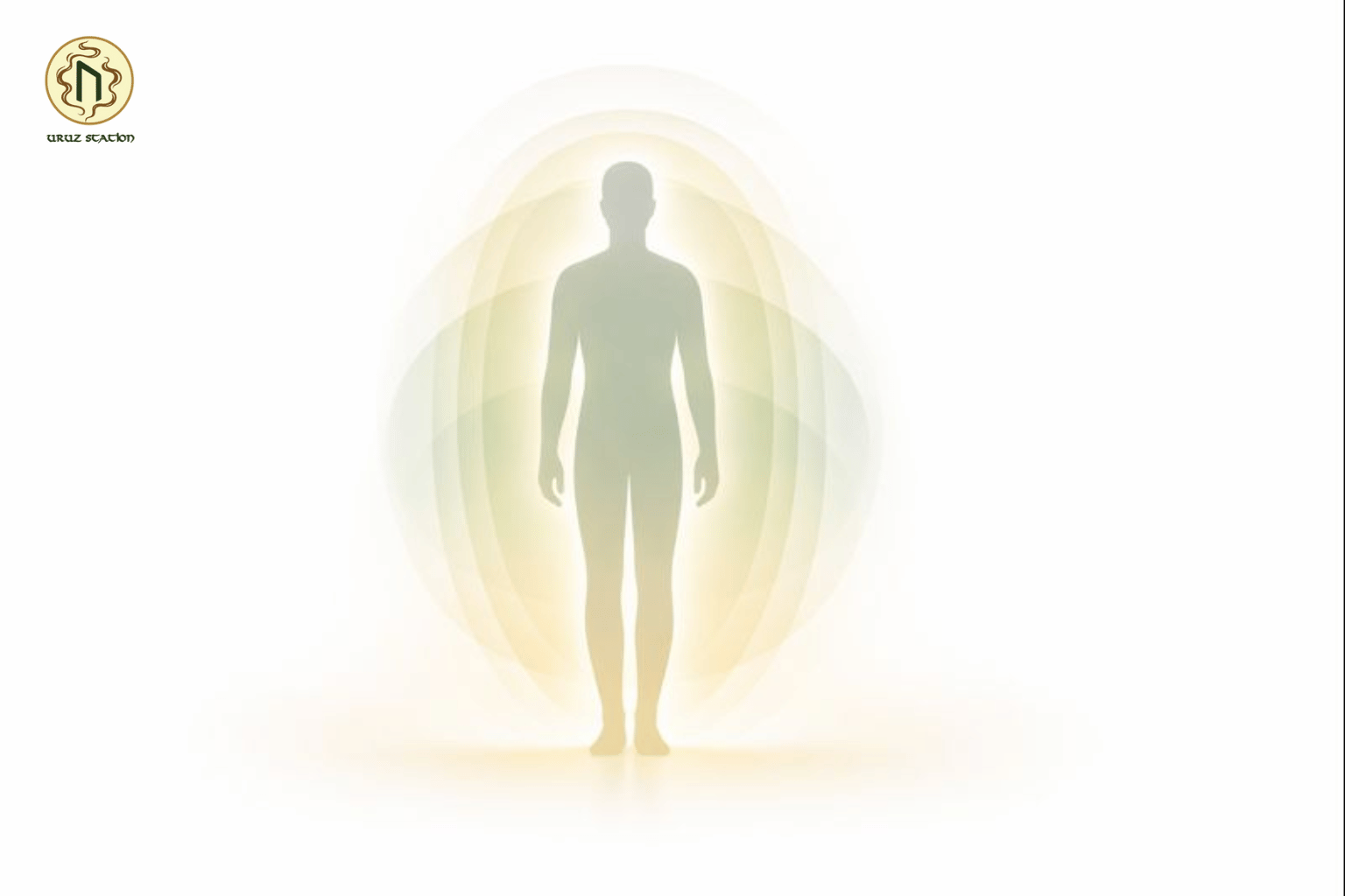 Các tầng năng lượng cơ thể là gì?