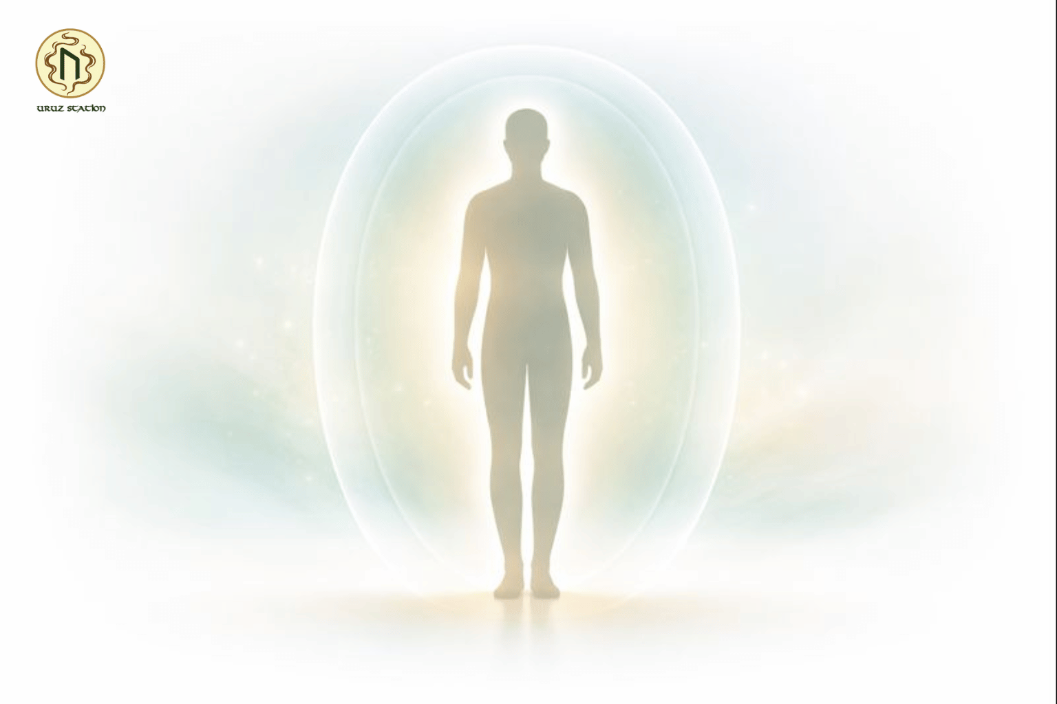 Các tầng năng lượng cơ thể hỗ trợ cân bằng thân tâm trí bền vững